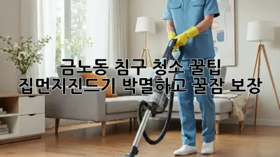 금노동 침구 청소 꿀팁🍯: 집먼지진드기 박멸하고 꿀잠 보장!