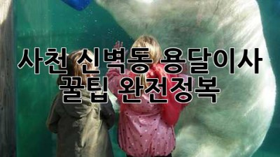 사천 신벽동 용달이사, 꿀팁 완전정복!