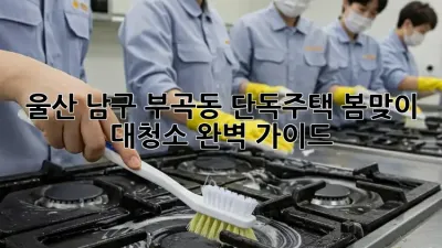 울산 남구 부곡동 단독주택, 봄맞이 대청소 완벽 가이드!